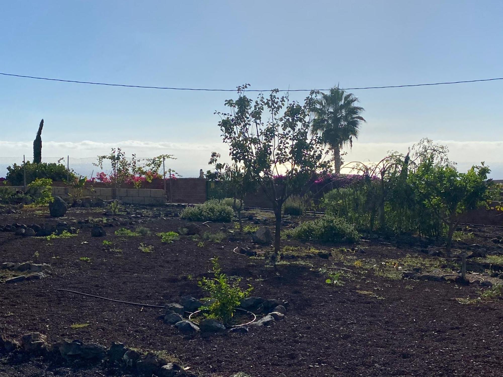 Finca Arcoiris Tenerife Vv Гиа-де-Исора Экстерьер фото